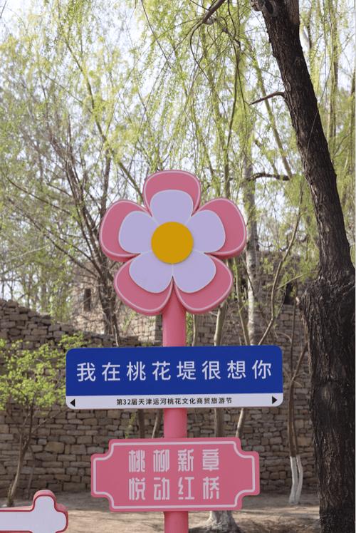 2024年3月16日,第33届天津运河桃花文化商贸旅游节开幕